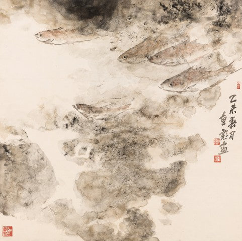 Fish Series 4441