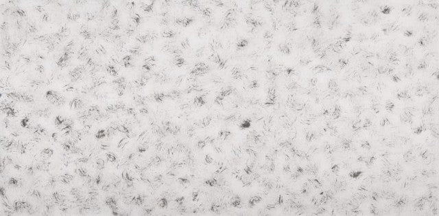HB44_20_2_6cfb3aae-e2a2-4a78-8639-937f0886e1e0.jpg