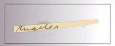 Albert Einstein Hand-Written Word (JSA LOA)