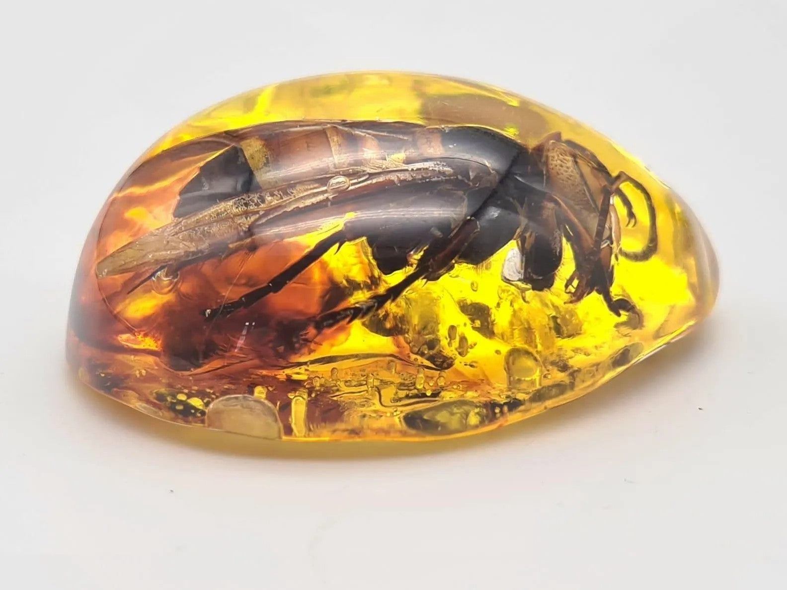 Intriguing Amber Resin Pendant with Captured Bumblebee - Unique Nature Jewelry