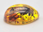 Intriguing Amber Resin Pendant with Captured Bumblebee - Unique Nature Jewelry