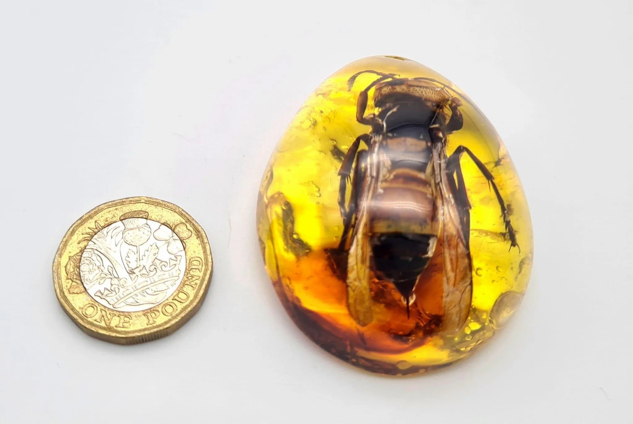 Intriguing Amber Resin Pendant with Captured Bumblebee - Unique Nature Jewelry