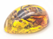 Intriguing Amber Resin Pendant with Captured Bumblebee - Unique Nature Jewelry