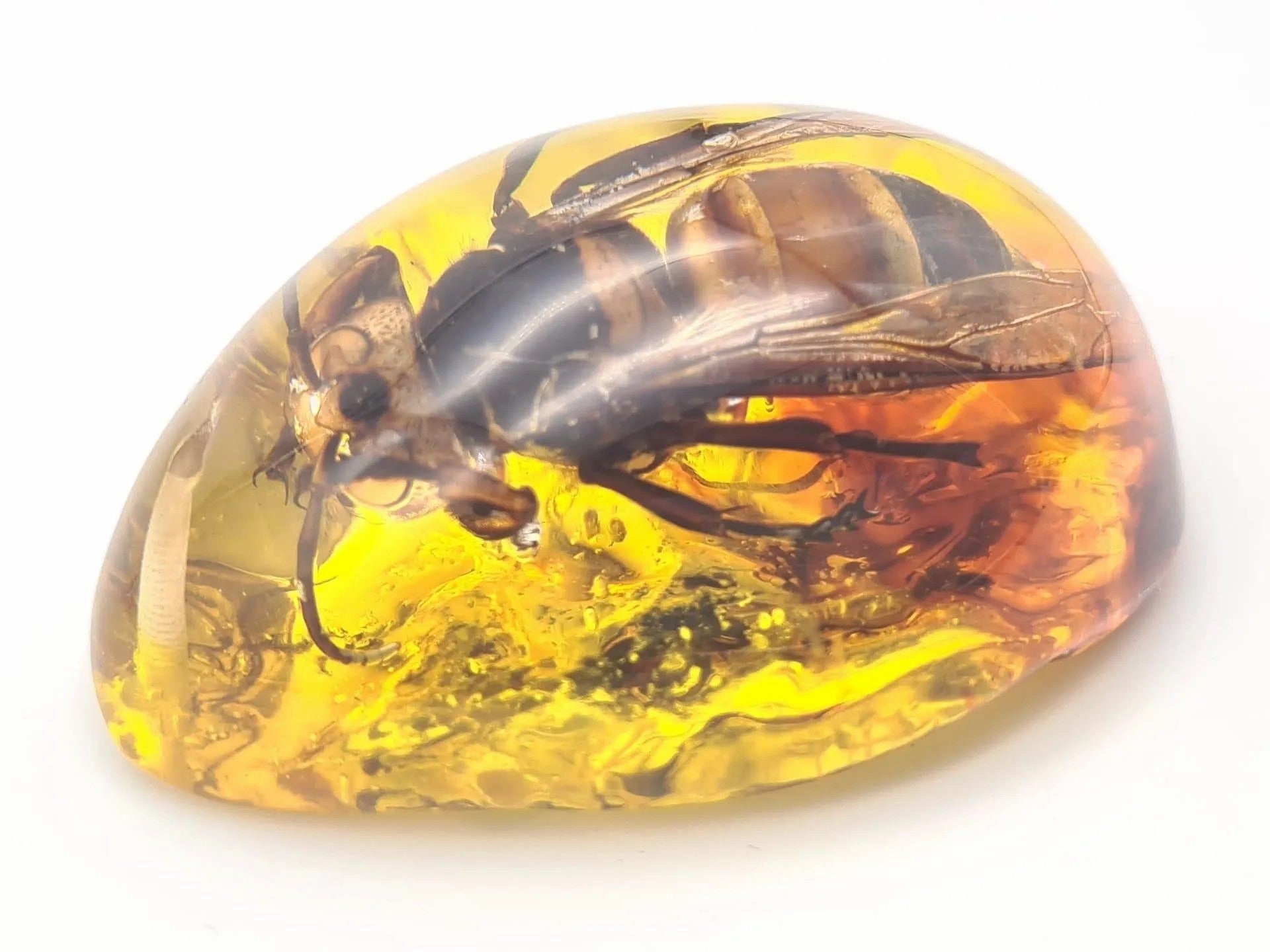 Intriguing Amber Resin Pendant with Captured Bumblebee - Unique Nature Jewelry