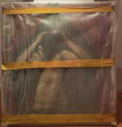 Red Curtain No.5