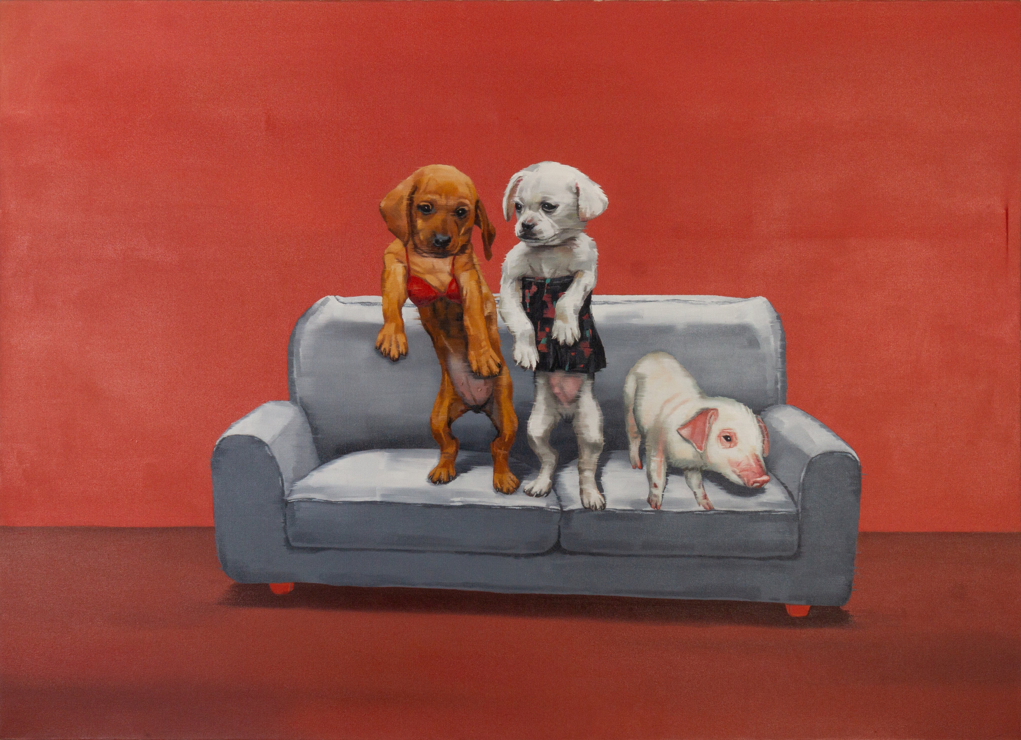 Pet Series