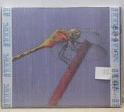 Yellow Dragonfly