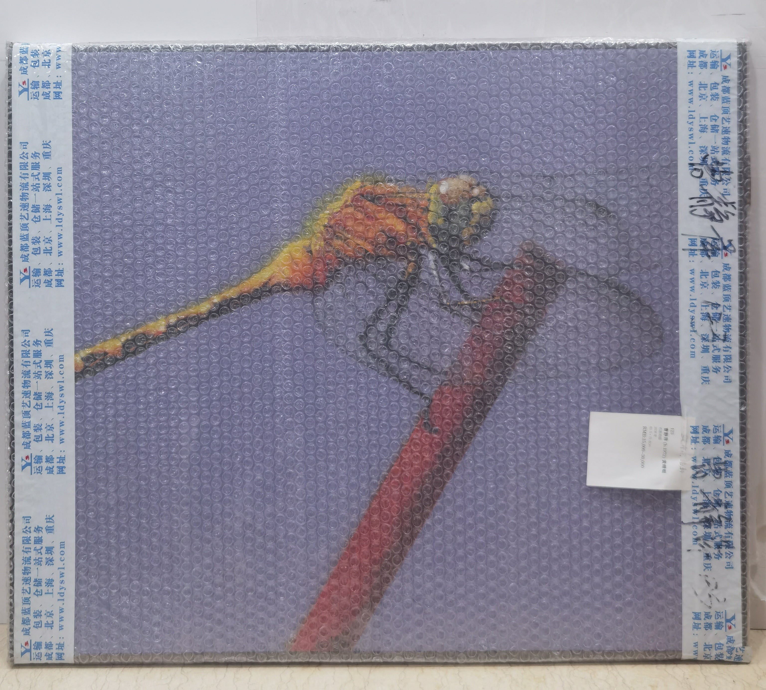 Yellow Dragonfly