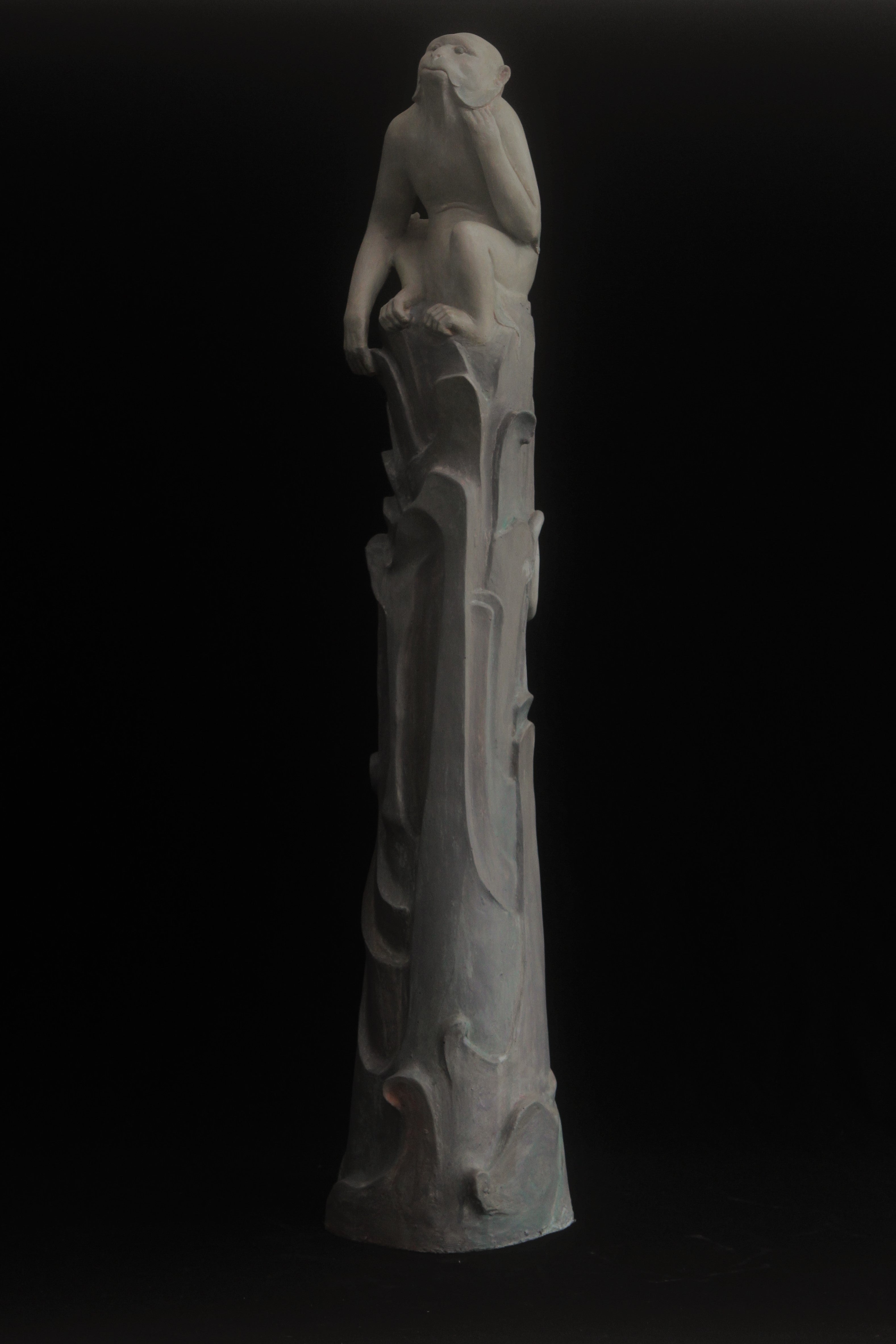 Taiqing Pithecus