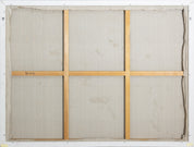 Art History of Mr. Xianting Li