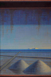 Salina