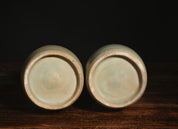 Longquan Kiln Bottles with Double Ears