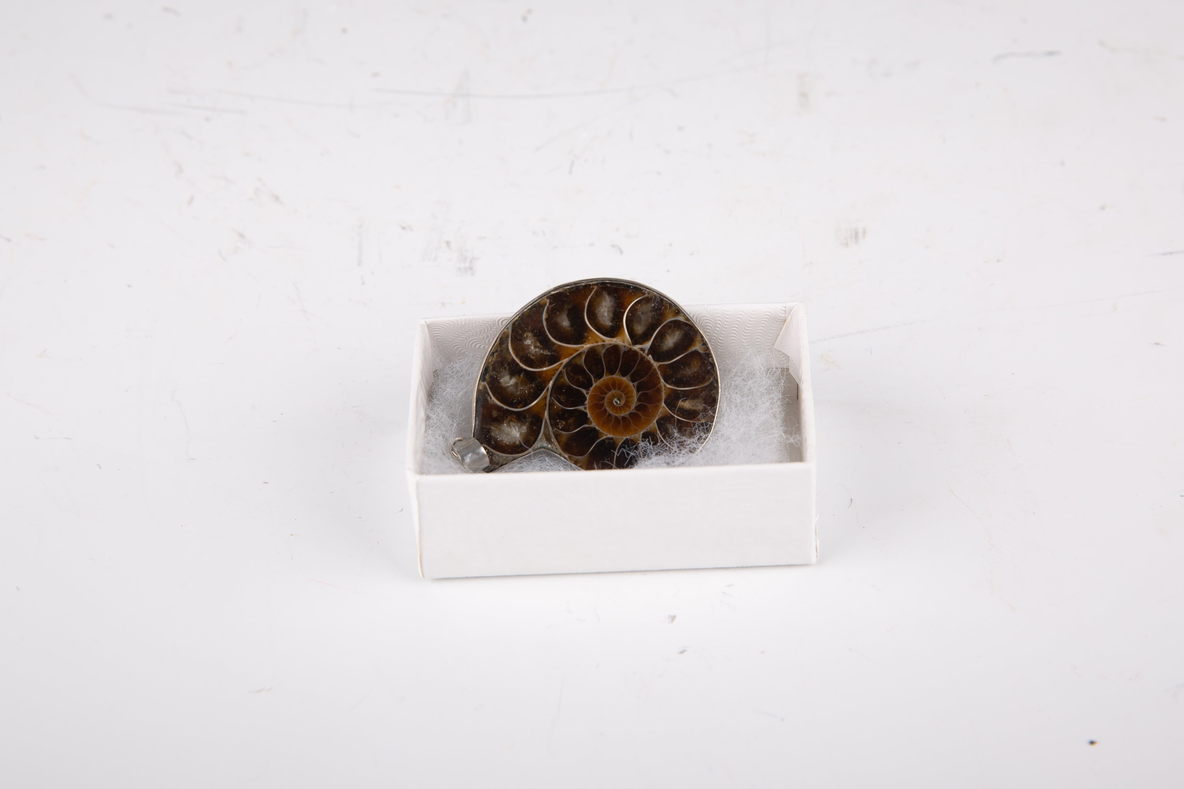 Ammonites Pendant