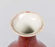 19th Chinese Antique Oxblood Glazed Vase