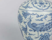 Chinese Ming Shipwreck Blue & White Vase