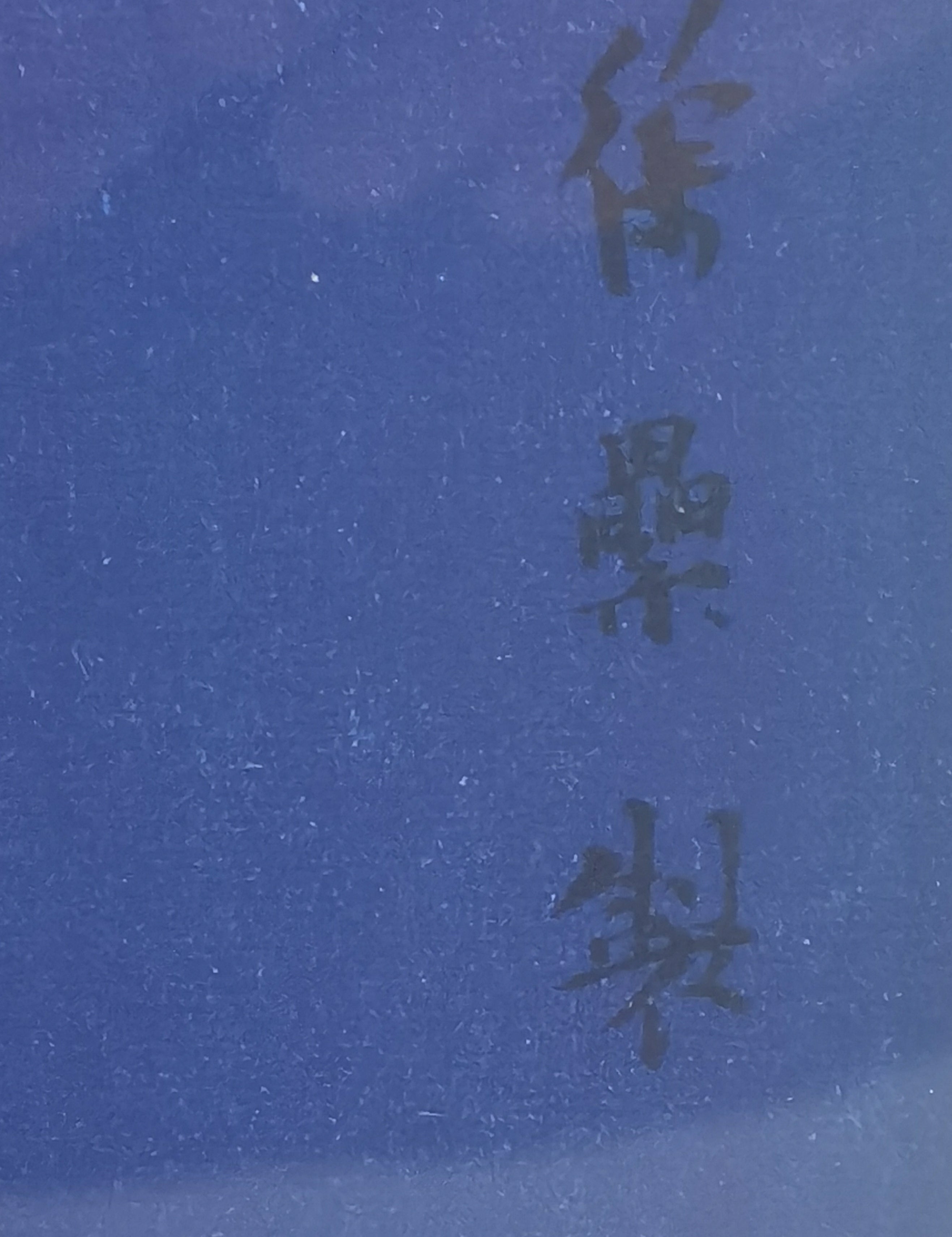 YZ716_20_2.jpg