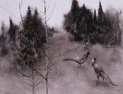 Zodiac Series (8 Pieces)