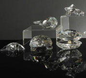 Swarovski Crystal Aquatic Animal Collection