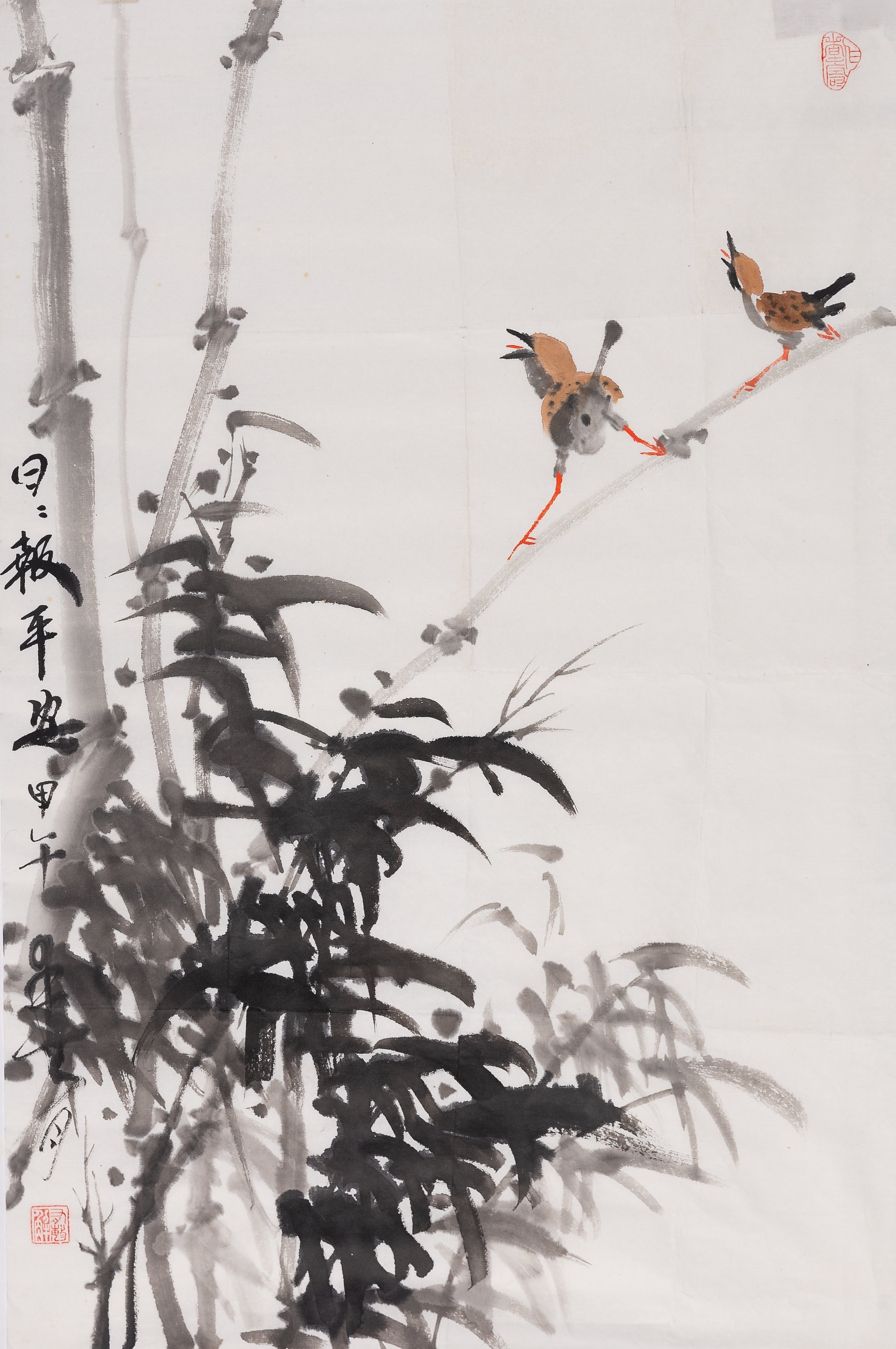 Bamboo