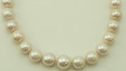 Graduated South Sea Pearl Necklace