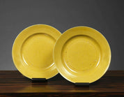 Pair of Yellow Porcelain Plates