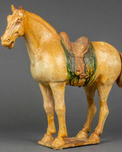 Tang Dynasty Three-Color Glazed Pottery Horse