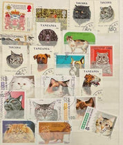 Global Stamp Collection in Medium Photo Album