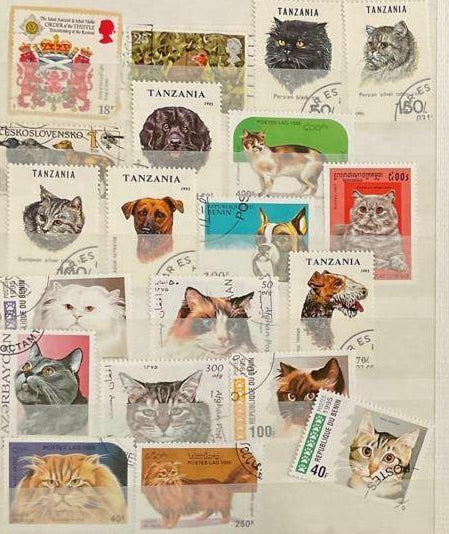 Global Stamp Collection in Medium Photo Album