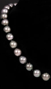 14K White Gold and Tahitian Pearl Necklace