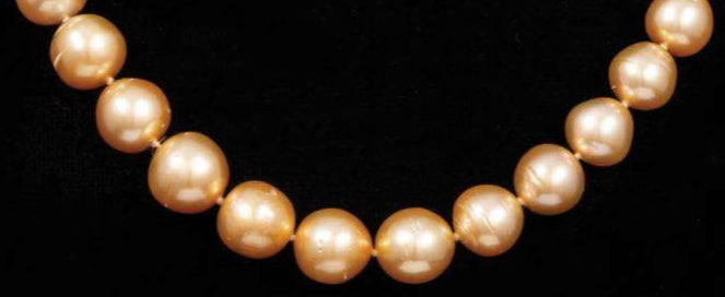 14K Gold and Golden South Sea Pearl Necklace