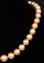 14K Gold and Golden South Sea Pearl Necklace