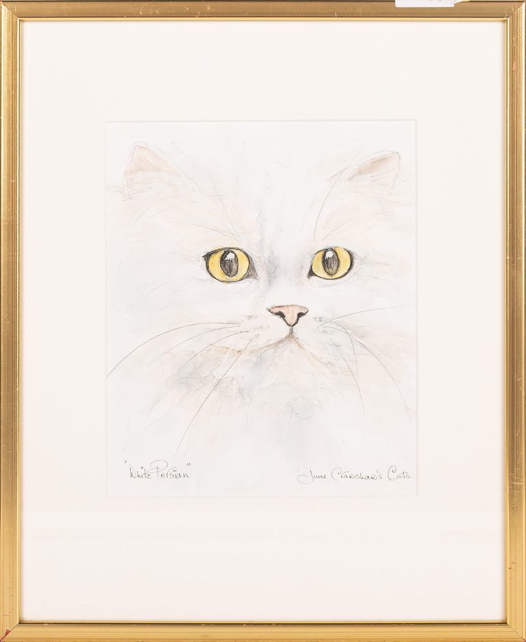 June Crawshaw, 'White Persian'