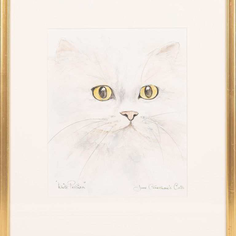 June Crawshaw, 'White Persian'