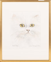 White Persian by June Crawshaw