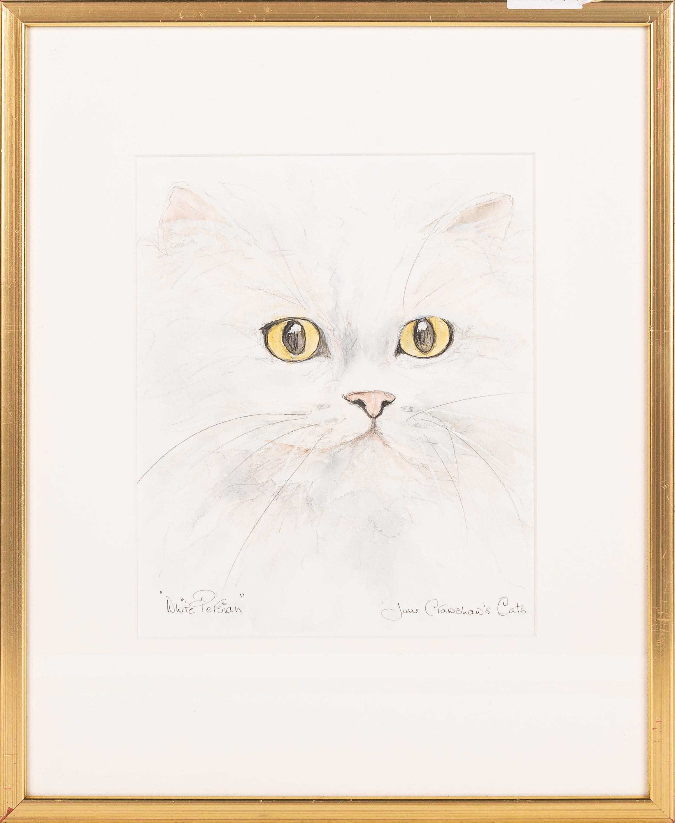 White Persian by June Crawshaw