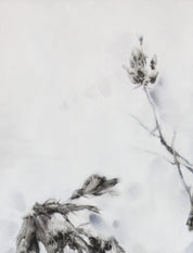 Dijin Yao, Flowers and birds - D