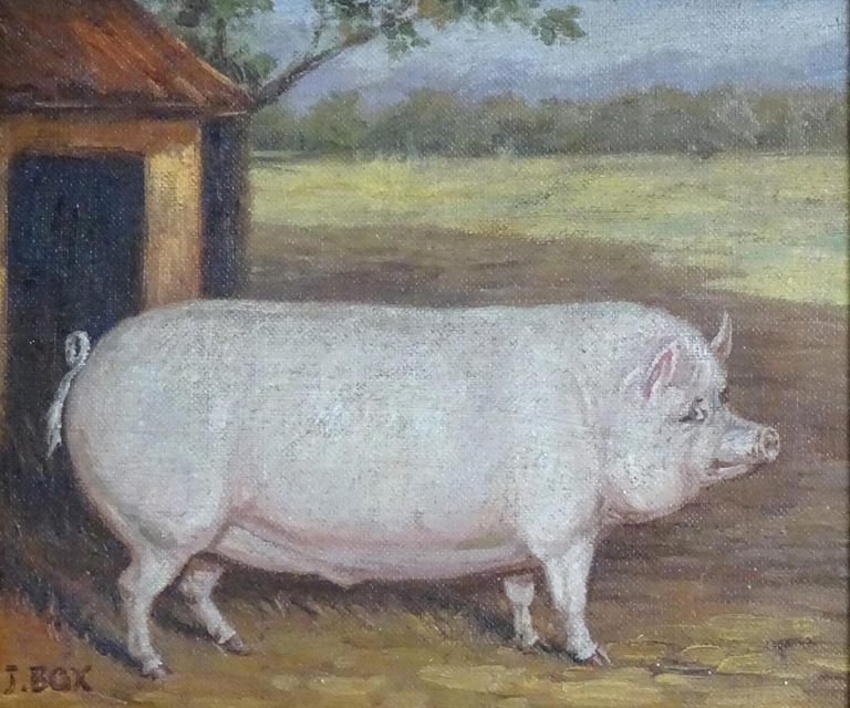 J. Box, A Portrait of a Prize Pig
