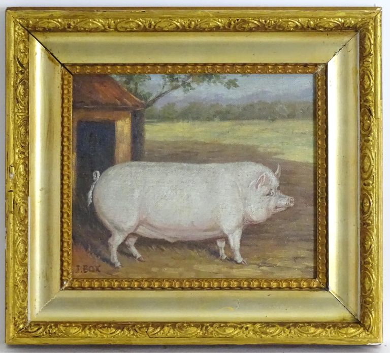 J. Box, A Portrait of a Prize Pig