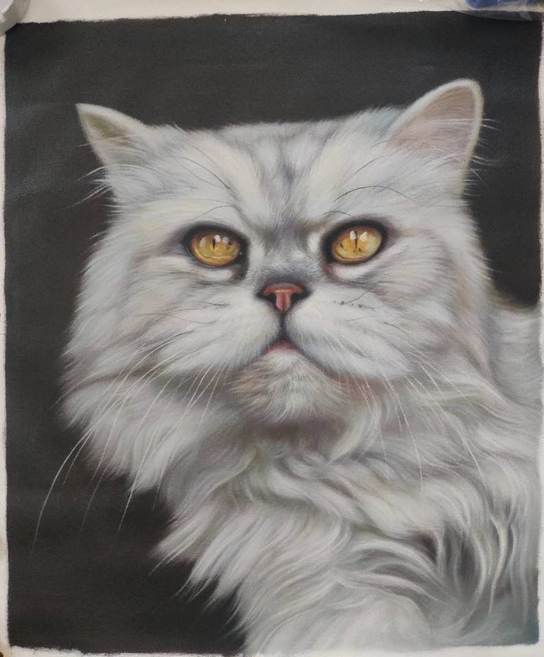 Huang Yecan, 'Cat'