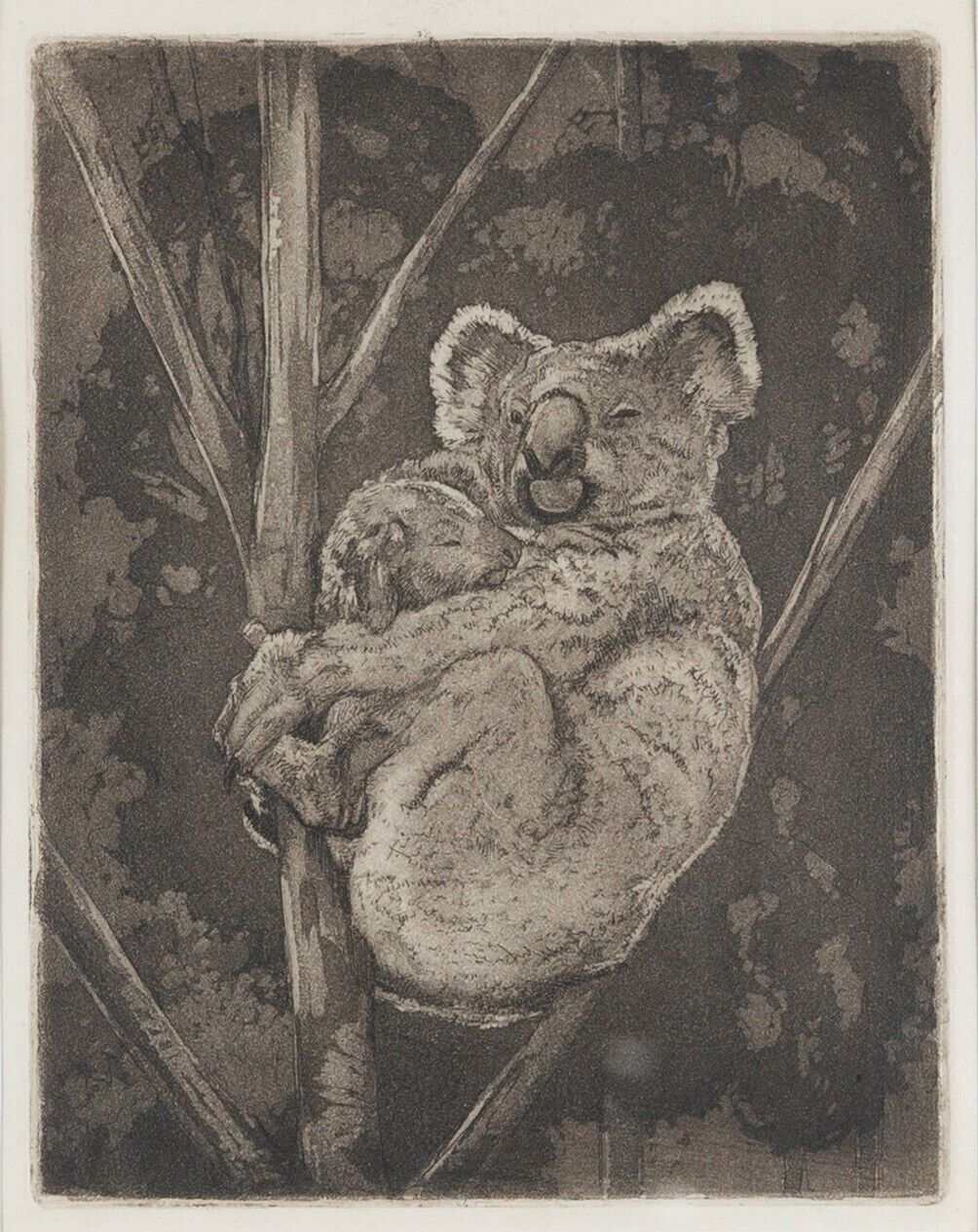 Alfred Edward Warner 'Koala Bears'