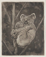 Alfred Edward Warner 'Koala Bears'